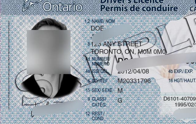Sample Ontario driver's license